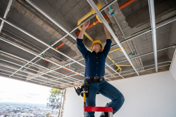 Best Commercial Plumbing Services  in Wolcottville, IN