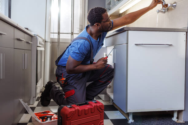 Best Toilet Repair Services  in Wolcottville, IN